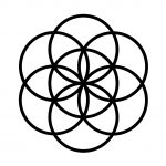 Scar Tissue Logo