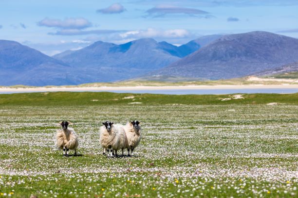 What You Need to Pack When Visiting the Outer Hebrides