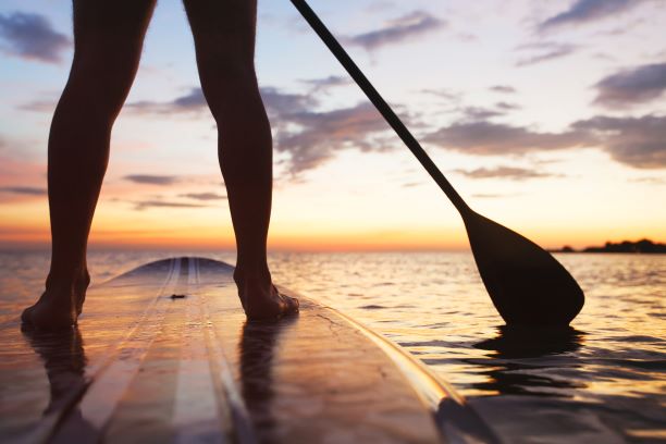 paddleboards