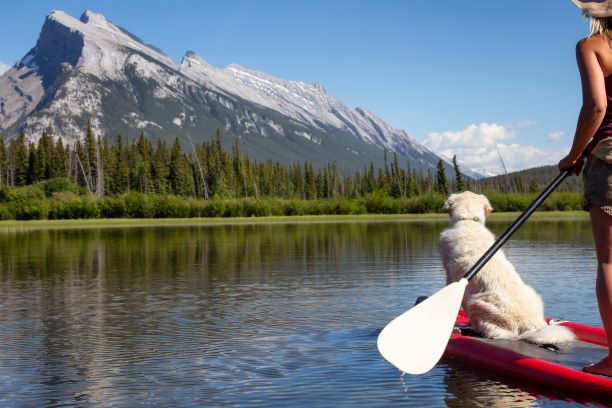 stand up paddle boarding with dog