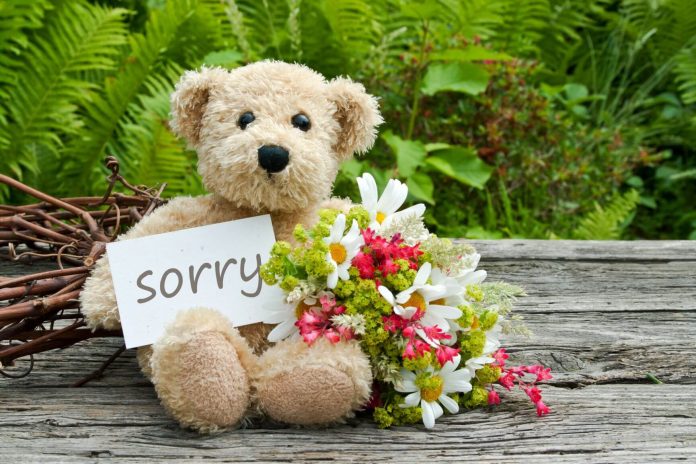 gift apology How to gift when you are apologising