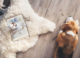Laminate flooring vs Carpet: Which is better?