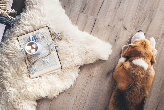 pet friendly laminate flooring with rug Laminate flooring vs Carpet: Which is better?