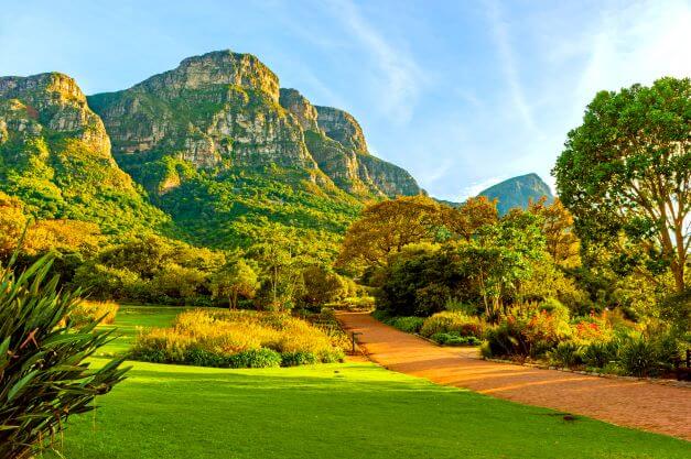 Kirstenbosch National Botanical Garden in Cape Town South Africa
