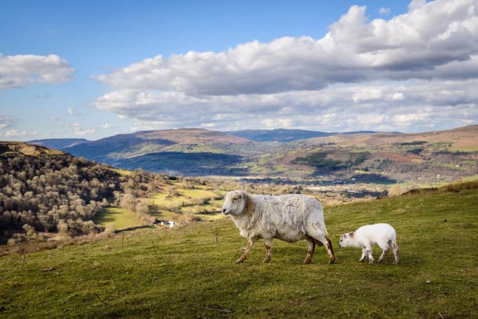 The Brecon Beacons in wales