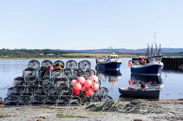 Fishing pots net baskets for lobster shellfish and fish creels at Loch Fyne