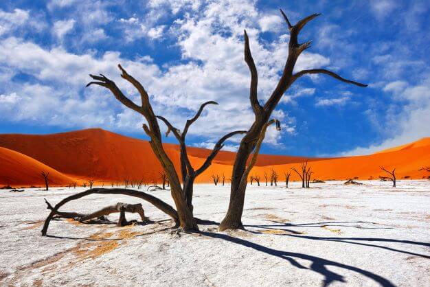 Deadvlei, Sossusvlei. Namibia