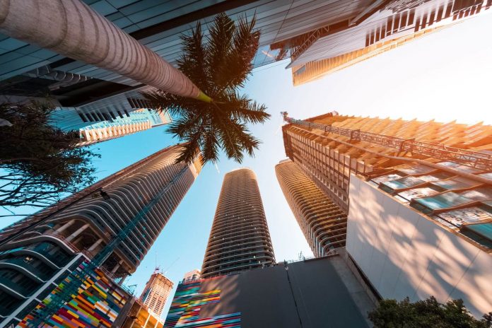 palm trees and buildings in Miami