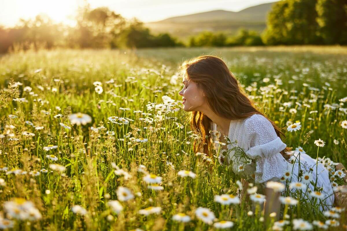 the smell of summer