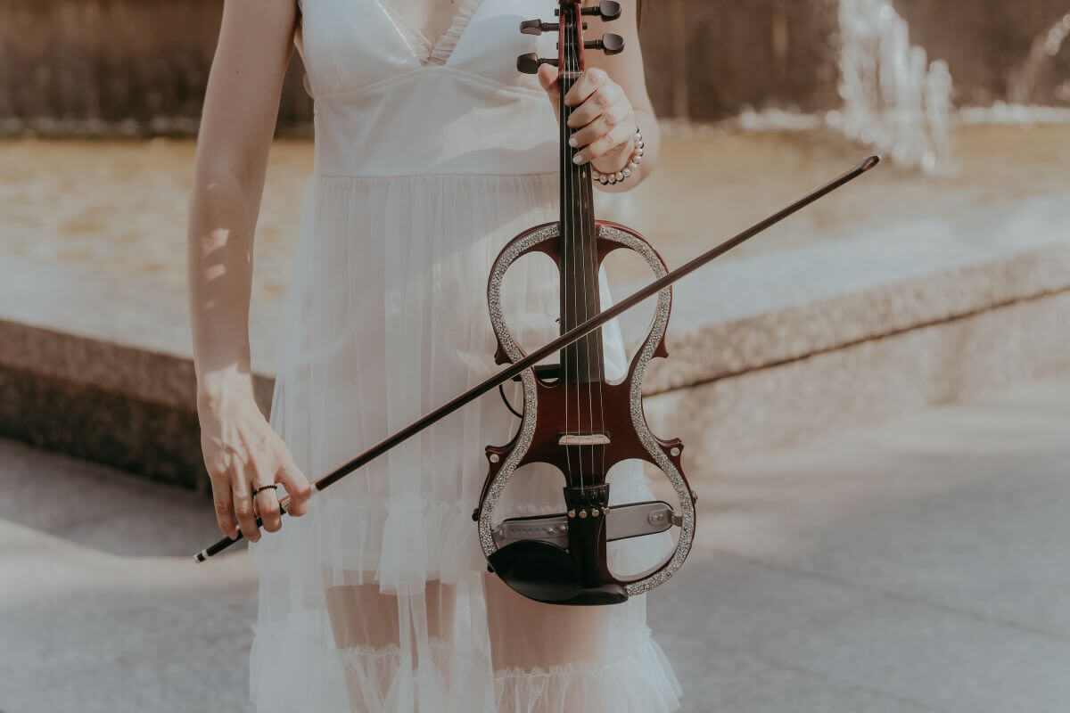The Rise Of The Electric Violin The Leisure Society