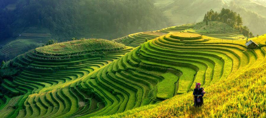 Why has Vietnam is still one of the most popular tourist destinations 2 Mu Cang Chai rice fields