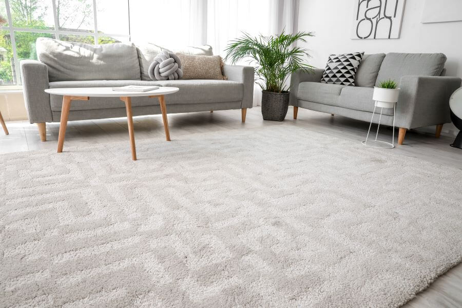 carpet in living room