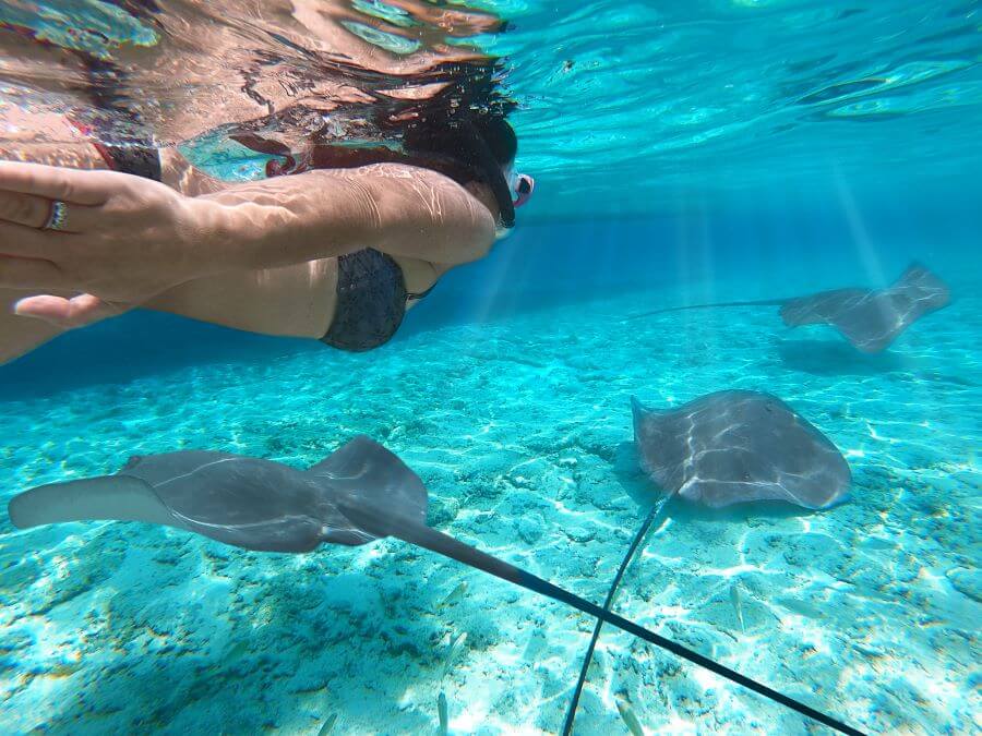 Girl snorkeling with manta ray in Maldives