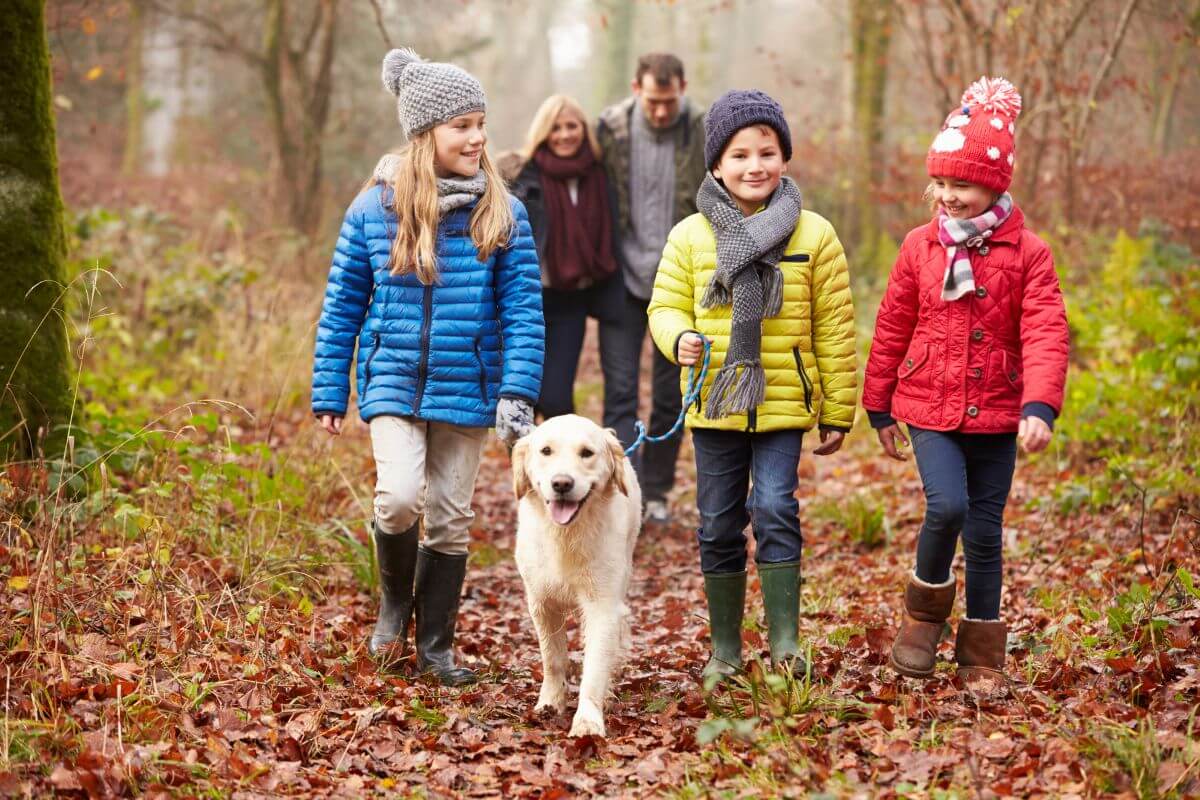 Family walking a dog along a leaf-strewn path on an autumn afternoon in the UK
