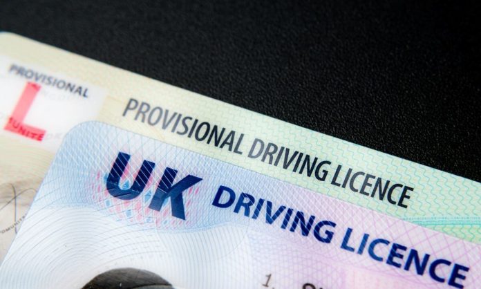 new driver'd license