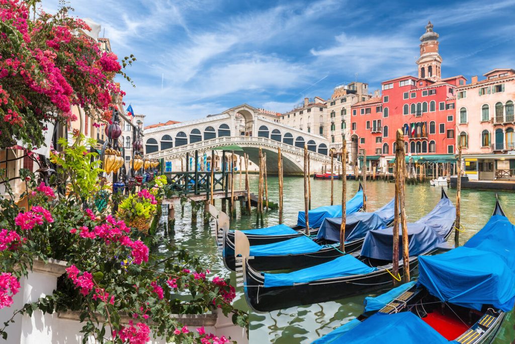 Rialto Bridge over the Grand Canal in Venice, with moored gondolas and pink flowers in the foreground